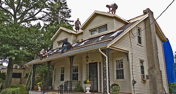 Best Roof Repair Services  in Buffalo, MN