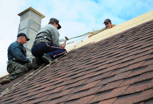 Best Flat Roof Repair Services  in Buffalo, MN