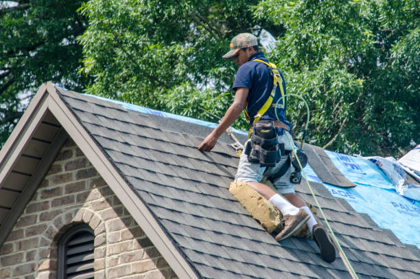 Best Roof Replacement Cost  in Buffalo, MN